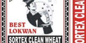 Clean Lokwan Wheat