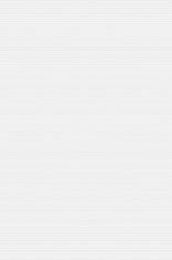 Light Dark Glossy Wall Tiles