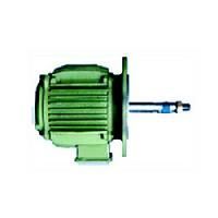 Cooling Tower Motors