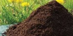 Bio Organic Fertilizer