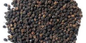Black Pepper Seeds