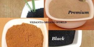 Seaweed Extract Powder