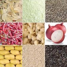 Agro Food Processing Services