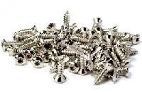 Stainless Steel Screw