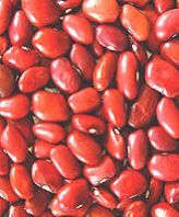 Red Kidney Beans