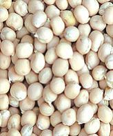 Yellow Peas