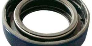 Oil Seals