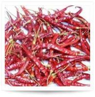 Dry Red Chilly