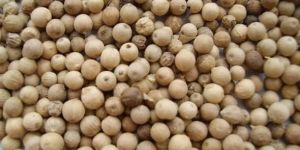 White Pepper Seeds