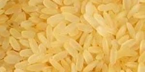 1121 Golden Sella Rice