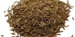 Cumin Seeds