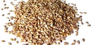 Sesame Seeds