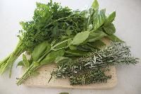 Fresh Herbs
