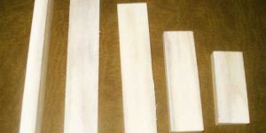 Bone Scale