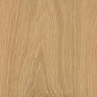 White Oak Wood
