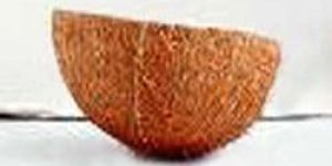 Coconut Shell