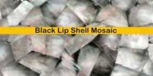 Black Lip Shell Mosaic Stones