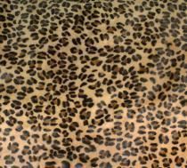 Hair on Printed Leather