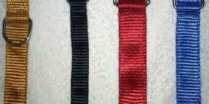 Pet Accessories Collar