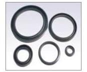 Ring Gaskets