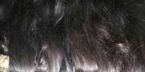 Single Drawn Straight Hairs