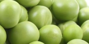 IQF Green Peas