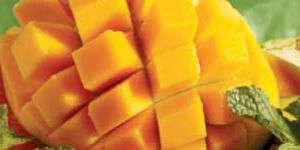 Iqf Totapuri Mango Dices