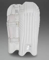 Wicket Keeping Pads