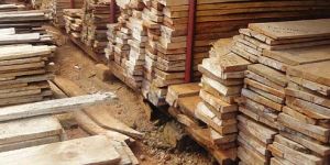 Sudan Teak Wood Planks