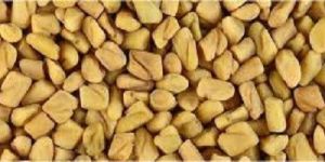 Fenugreek Seeds