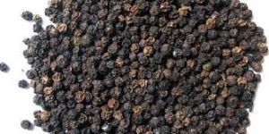 Black Pepper Seeds