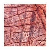 Bidasar Red Marble Stone