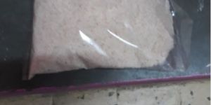 Phyllium Husk