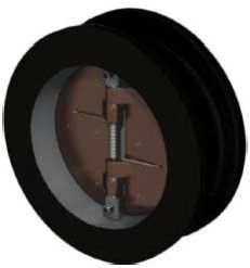 Dual Plate Check Valve