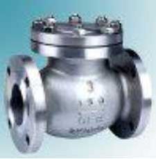 Non Return Valve