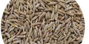 Cumin Seeds