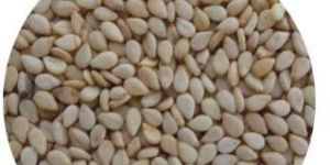 Natural Sesame Seeds
