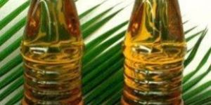 Palm Oil