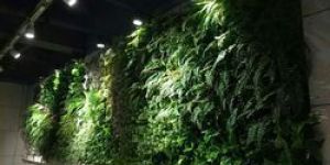 Artificial Vertical Green Wall