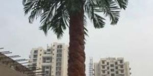 Date Palm Artificial Tree (BT-30)