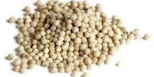 Organic White Pepper
