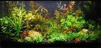 Aquarium
