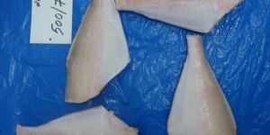 Frozen Leather Jacket Fish