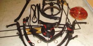 Leather Harnesses