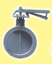 Cast Iron Butterfly Valve
