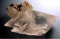 Marine Gypsum