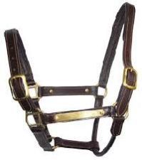 Leather Halter