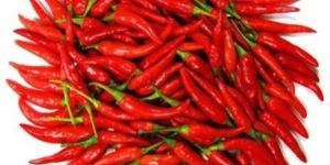 Fresh Red Chillies