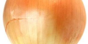 Onion