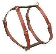 Leather Harness
